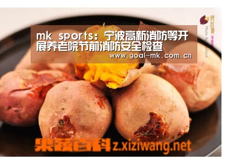 mk sports:宁波高新消防等开展养老院节前消防安全检查(图2) mk体育app